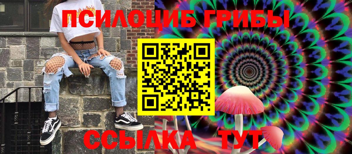 Псилоцибиновые грибы Psilocybe Балашиха